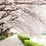 新しい門出