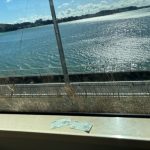 星と自然に癒されに